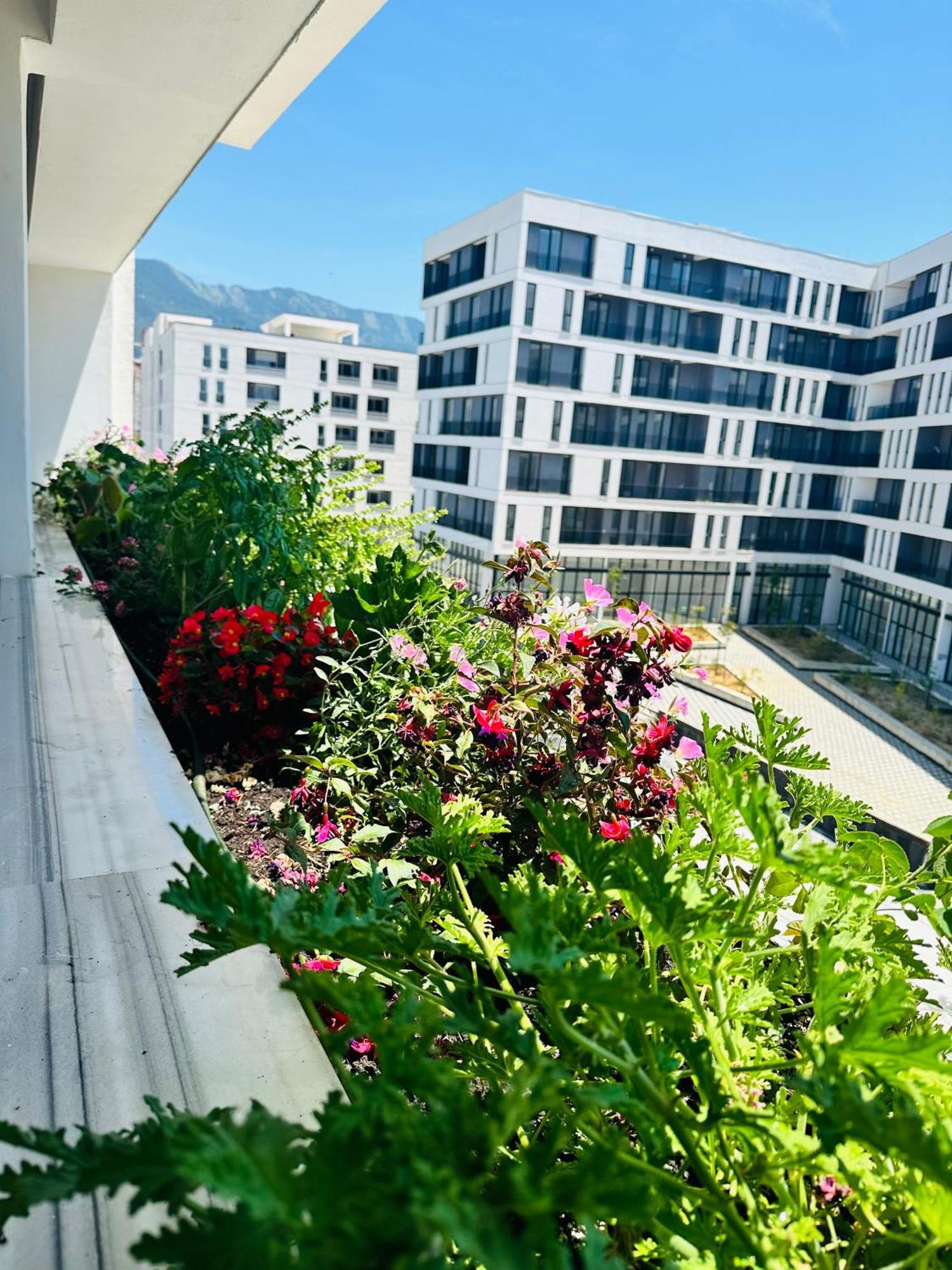 Family Apartment Тирана Екстер'єр фото